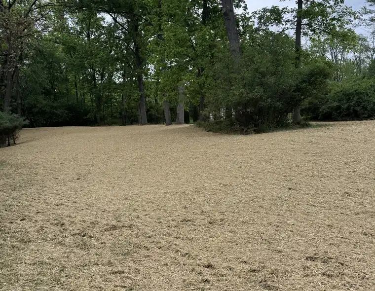Cleared and graded lot after site clearing